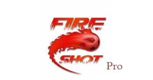 FireShot Pro crack download