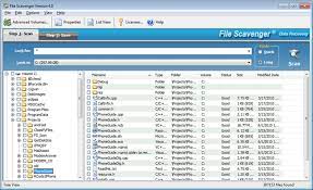 File Scavenger serial key download
