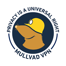 Mullvad VPN crack download
